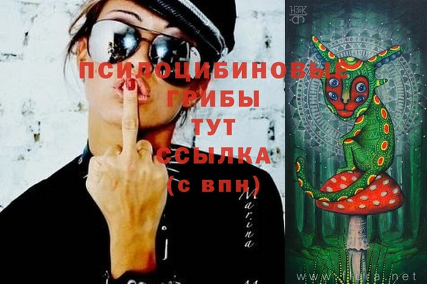 твердый Абинск