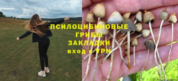 скорость Алексеевка
