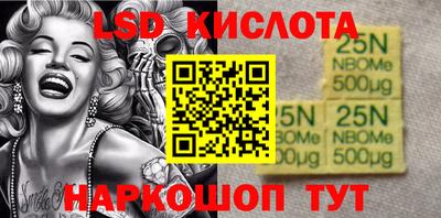 прущие грибы Нальчик