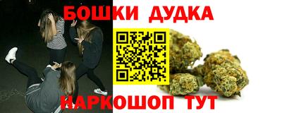 прущие грибы Нальчик