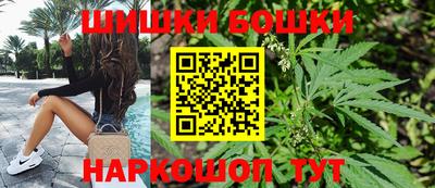 прущие грибы Нальчик