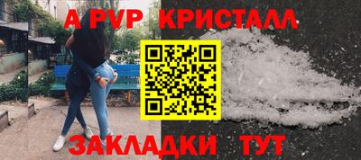 прущие грибы Нальчик