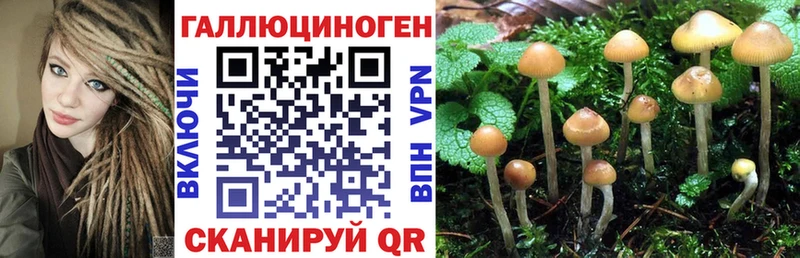 Галлюциногенные грибы Magic Shrooms где купить наркоту Благовещенск