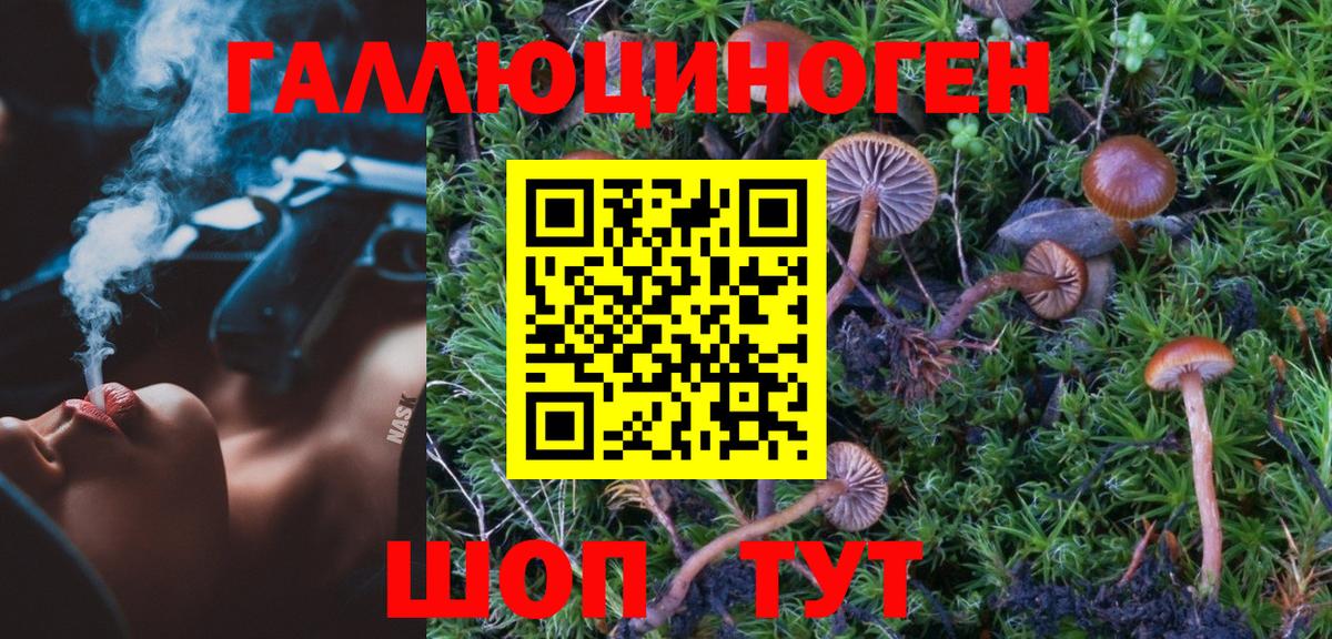 Псилоцибиновые грибы мухоморы Благовещенск