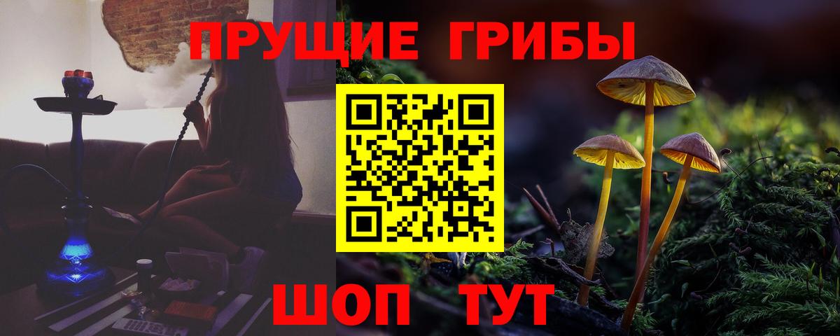 Псилоцибиновые грибы мицелий  Вход с VPN  Благовещенск 